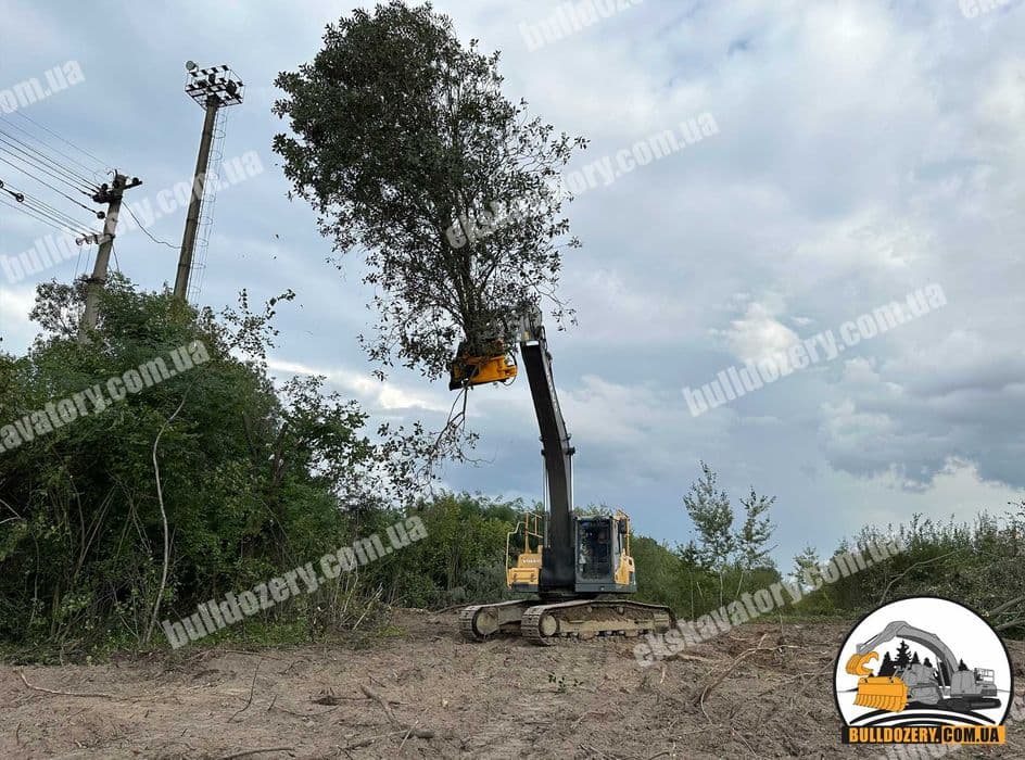 Розліснення, садів, чагарників екскаватором. Викорчовувач дерев ,пнів., фото 2